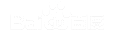 ʯ��ɽAI�Ż�
